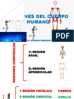 Regiones Del Cuerpo Humano