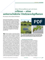 Die Wasserlinse - Eine Unterschätzte Vielzweckpflanze