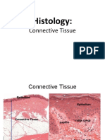 Connective Tissue