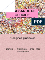 curs _ glucide