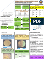 Práctica Transformación Martensítica y Revenido