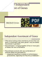 Chapter 3 Independent Assortment of Genes: Dihybrid Crosses