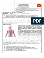 Informe 1-Punción Venosa