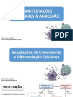 Aula 2 - Manifestações Celulares À Agressão