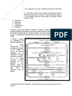 Trabajo Fsiologia 2