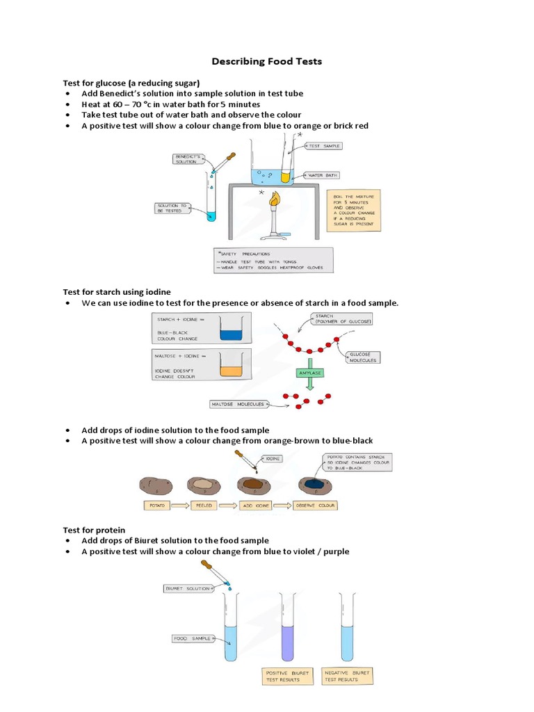 Food Tests for Glucose and More | PDF | Cooking, Food & Wine