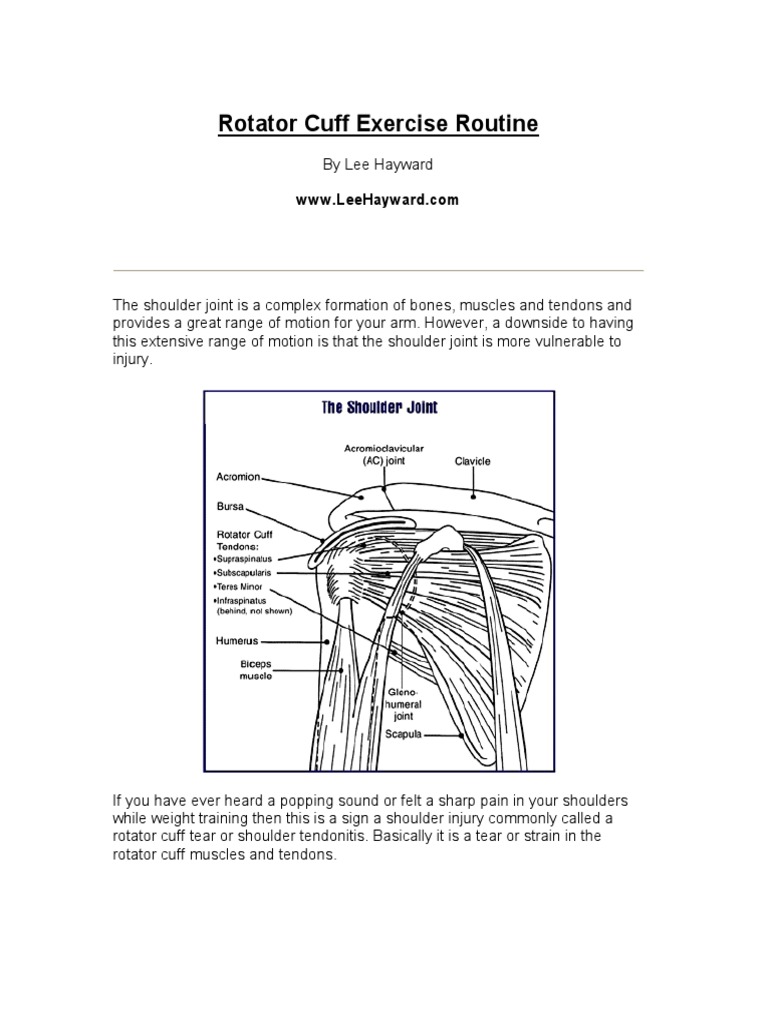 Rotator Cuff Routine | PDF | Shoulder | Weight Training