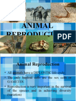 BIO 3:animal Reproduction