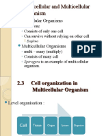 cell organisation fom 1