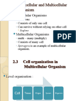 Cell Organisation Fom 1