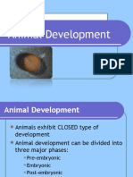 BIO3: Animal Development