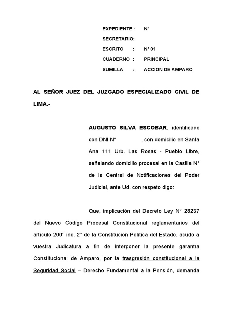 Acción de Amparo por Pensión ONP | PDF | Caso de ley | Demanda judicial