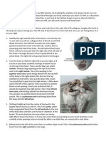 Sheep Hear Dissection Sp11 BIO 160