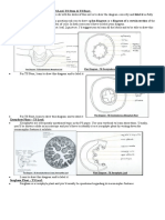 Bio Practical Diagrams