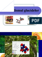 Metabolismul_glucidelor