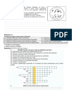 Série Information Génétique-Chromosome & Mitose