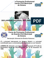 Direitos Humanos (Slides)