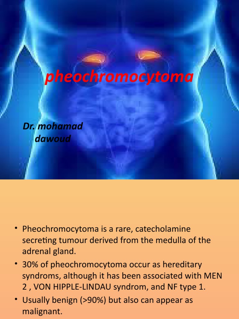 Pheochromocytoma and Hyperaldosteronism PDF Adrenal Gland Glands