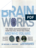 Brainworks - The Mind-Bending Science of How You See, What You Think, and Who You Are