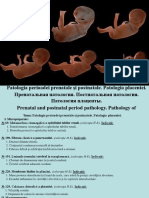 11. Patologia perioadei prenatale. Patologia perioadei perinatale 2008