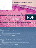 Patologia Sistemului Musculo - Scheletal Și A Pielii - 0