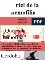 Cartel Hemofilia