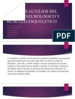 Primeros Auxilios Del Sistema Neurologico y Musculo Esqueletico