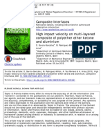 Garcia- Gonzales - High Impact Velocity on Multi-layered Composite of PEEK