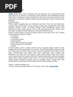 Download Apa itu Pilates by missgreen SN49673541 doc pdf