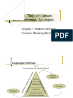 Chapter1 Persepsi Akuntan Compatibility Mode