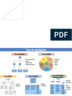 Infografía Organigramas