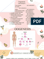  Oogenesis - PPT Biologi