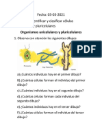 Clase 03-03-2021 Nº2