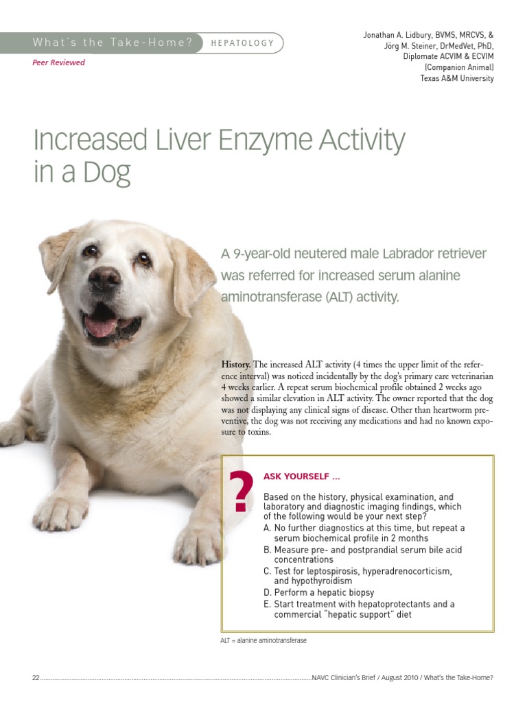 Elevated ALT Levels in Dogs | PDF | Alanine Transaminase | Hepatitis
