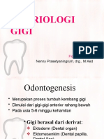 Embriologi Gigi