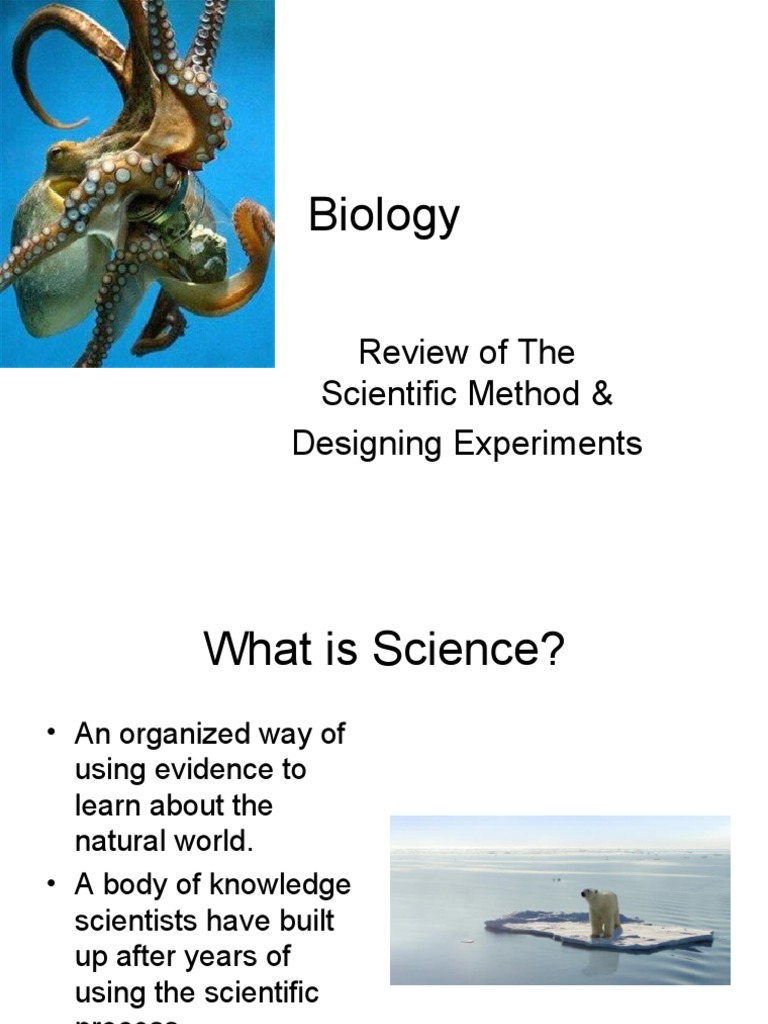 Biology: Review of The Scientific Method & Designing Experiments | PDF