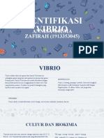 Identifikasi Vibrio