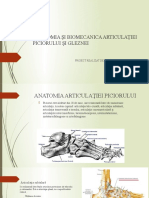 Anatomia Şi Biomecanica Articulaţiei Gleznei