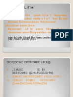 PDF Evofix