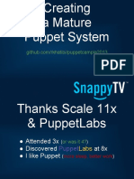 Creating A Mature Puppet System