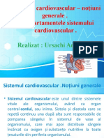 Sistemul cardiovascular