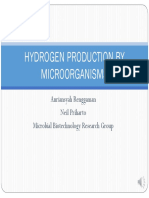 (BM4206) Biohidrogen
