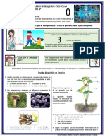 21 Enero. Prueba Diagnostica de Ciencias 4°