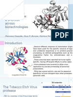 Tobacco Etch Virus Protease: A Shortcut Across Biotechnologies