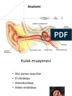 1 Kulak Muayene