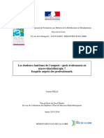 Les Douleurs Fantômes de L'amputé: Quels Traitements en Masso-Kinésithérapie ? Enquête Auprès Des Professionnels