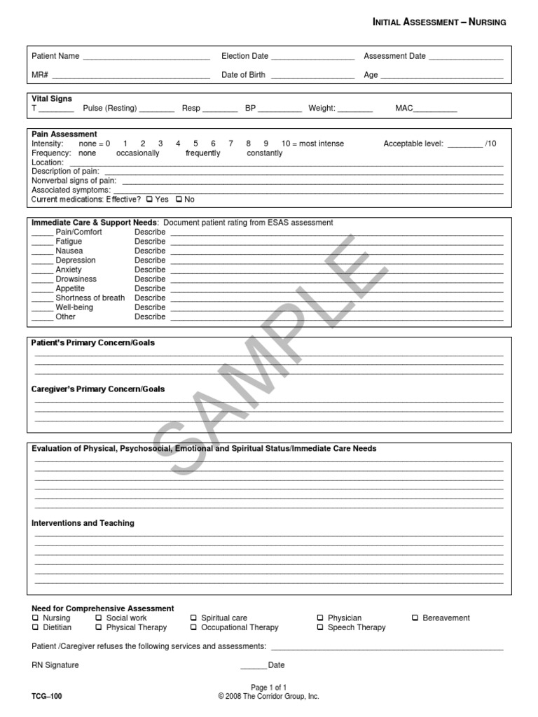 Nursing Initial Assessment Template | PDF | Caregiver | Palliative Care