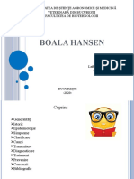 Boala Hansen