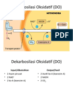 Dekarbosilasi Oksidatif (DO)