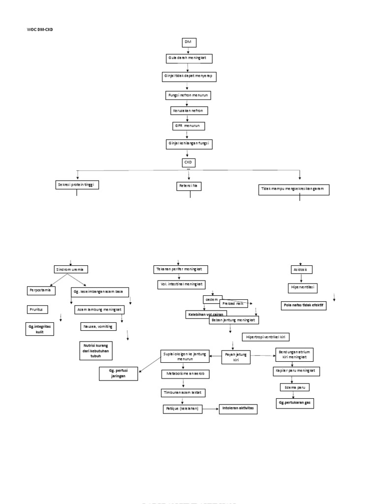 Gagal Ginjal Kronis Akibat Diabetes Melitus | PDF